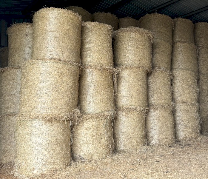 80 x Kykura, Oaten, Rye and Clover Round Bales