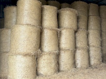 80 x Kykura, Oaten, Rye and Clover Round Bales