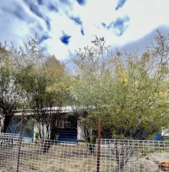 Weekender/ 98.842 ac (40Ha) Farm Land / Torrens Residential Rural (40Ha)