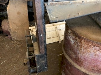 25ft Lentil Bat Reel