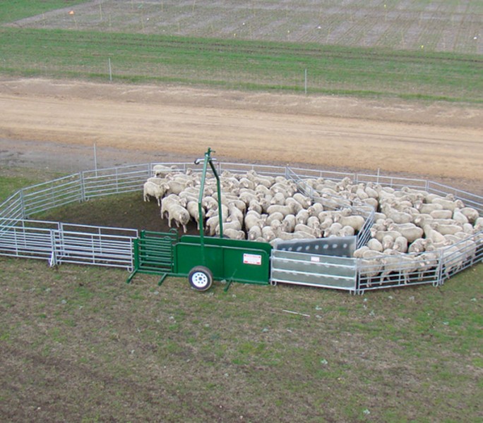Portable single axel sheep yards
