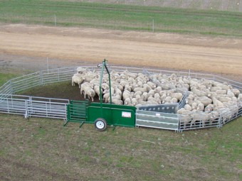 Portable single axel sheep yards