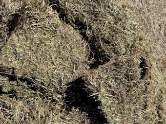 23 Season 140mt Vetch Hay approx 210 bales 8x4x3 Bales shedded approx 660 kgs