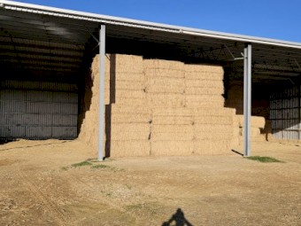 132mt Lucerne Hay 515kg 8x4x3 Bales