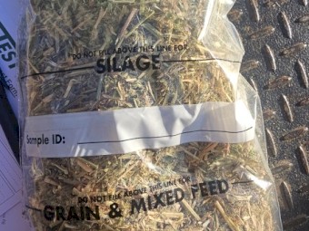 36mt Lucerne Hay 8x4x3 Bales