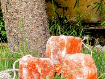 Pink Salt Animal Licks - Cows, Horses & Goats