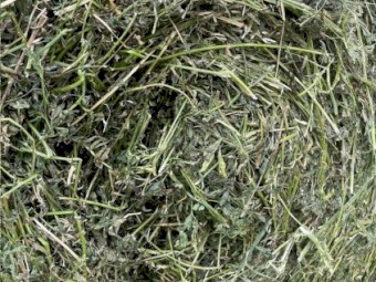 Lucerne Silage