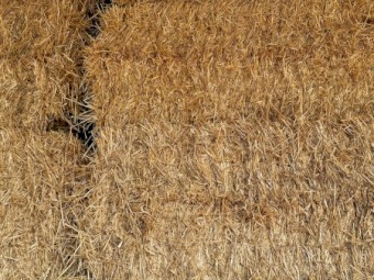 100mt Oaten Straw 550kg 8x4x3 Bales (Header Tailings)