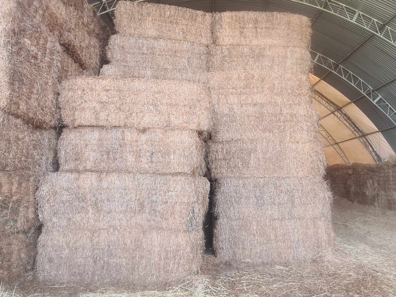 100mt Vetch Hay 8x4x3 Bales