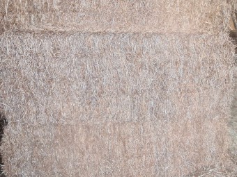 100mt Vetch Hay 8x4x3 Bales