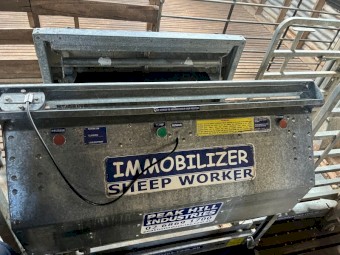 Peak Hill Immobilizer