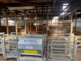 Peak Hill Immobilizer