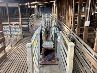 Peak Hill Immobilizer