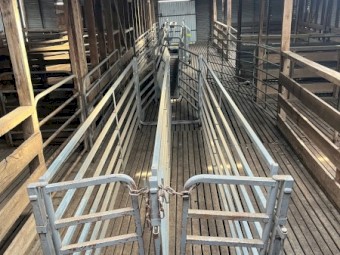 Peak Hill Immobilizer