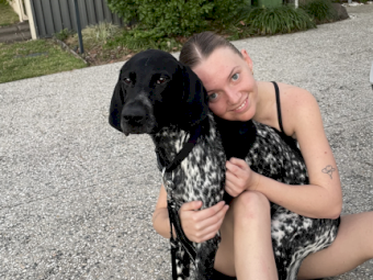 9 month old German Shorthaired Pointer