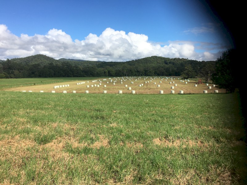 improved pasture & herb, feed tested, chopped and innoculated