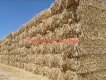 130T Barley Vetch Hay 8x4x3