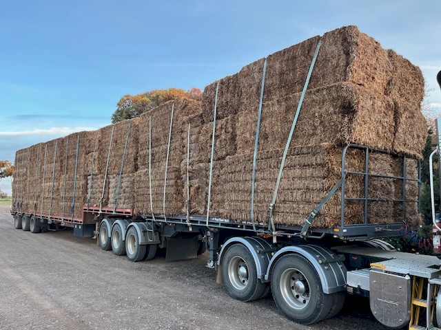 35mt Vetch Hay 8x4x3 Bales