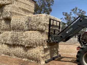 43mt Barley Straw 8x4x3 Bales 2023 season