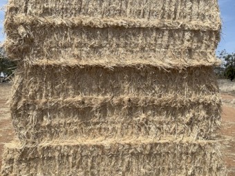 43mt Barley Straw 8x4x3 Bales 2023 season