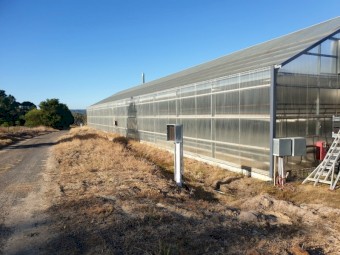 *LEASE* Green house / Hot house