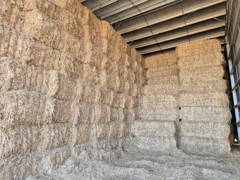 Wheaten Straw 8x4x3 Bales