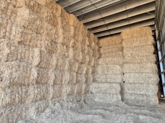 Wheaten Straw 8x4x3 Bales