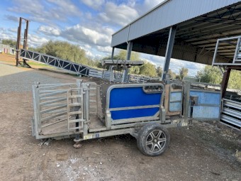 Clip x Auto drafter/sheep handler