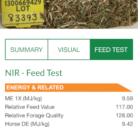 500 x Vetch Hay 8x4x3 Bales