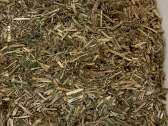 500 x Vetch Hay 8x4x3 Bales