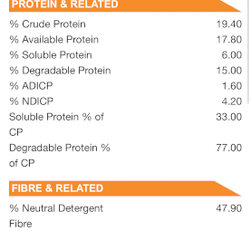 500 x Vetch Hay 8x4x3 Bales