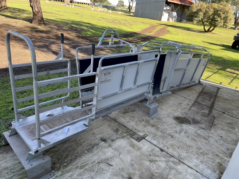 Hecton Stock Worker and Dagging Race