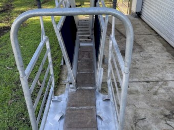 Hecton Stock Worker and Dagging Race