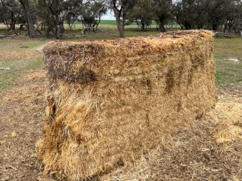 Header Trail Barley Straw