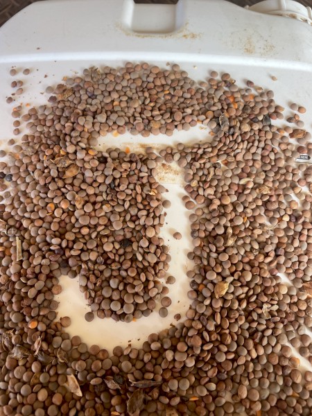 38mt Lentils