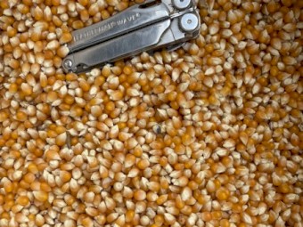 *PRICE REDUCED* 45mt Popcorn