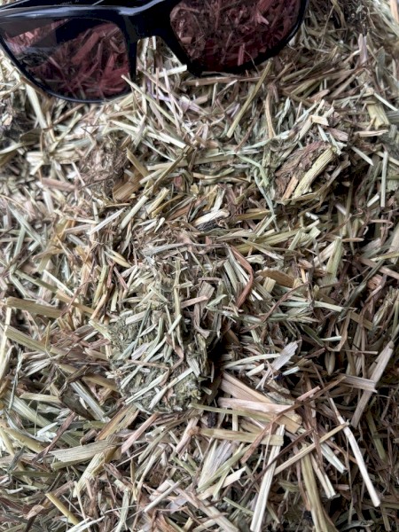 Certified Organic Grass Hay