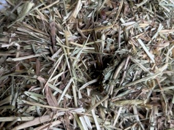 Certified Organic Grass Hay