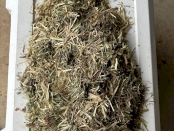 Certified Organic Grass Hay