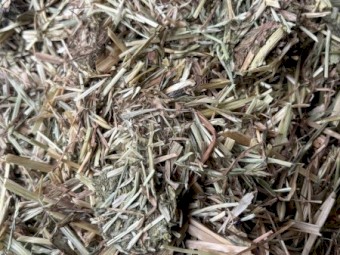 Certified Organic Grass Hay
