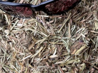 Certified Organic Grass Hay