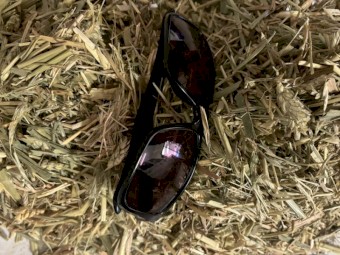 Awnless Cereal/Grass Hay