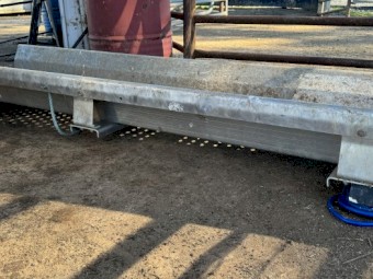 TruTest Cattle weighscales & CIA Cattle Crush 