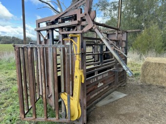 TruTest Cattle weighscales & CIA Cattle Crush 