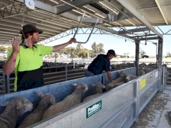 ProWay 6m Permanent Bulk Handler