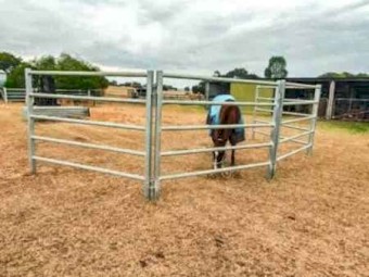 Heavy duty steel cattle panels - BRAND NEW