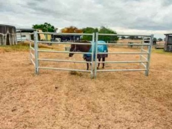 Heavy duty steel cattle panels - BRAND NEW