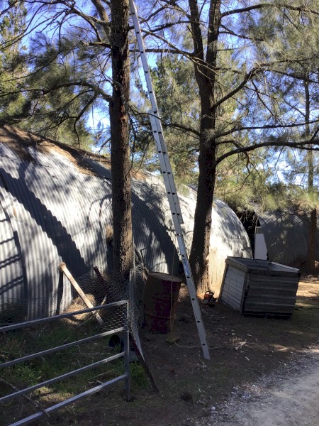 Bailey 6M aluminium extension ladder