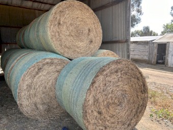 Lucerne rolls 2024 summer cut