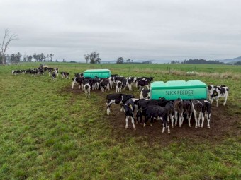 Slick Pellet Feeder 2400L Capacity, approx. 1700kg feed capacity